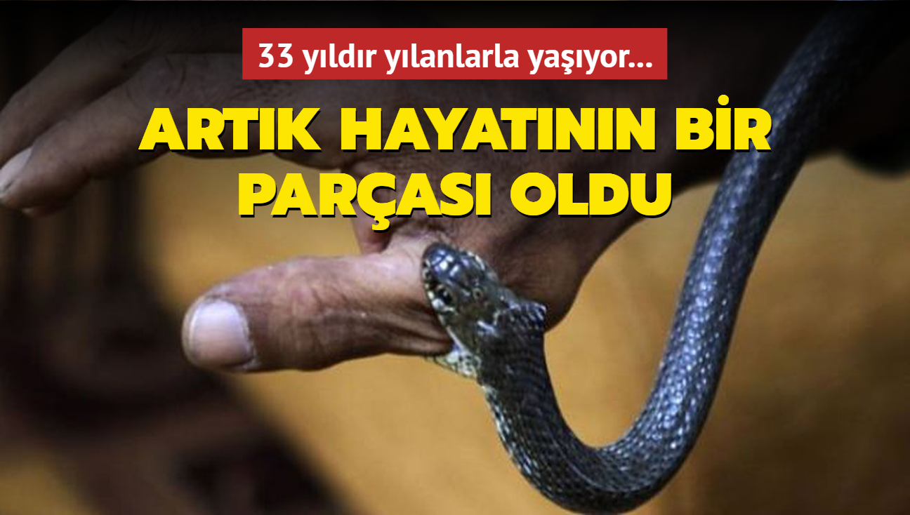 33 yldr ylanlarla yayor... Artk hayatnn bir paras oldu