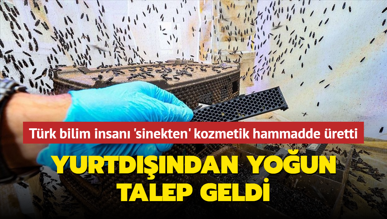 Trk bilim insan 'sinekten' kozmetik hammadde retti... Yurtdndan youn talep geldi