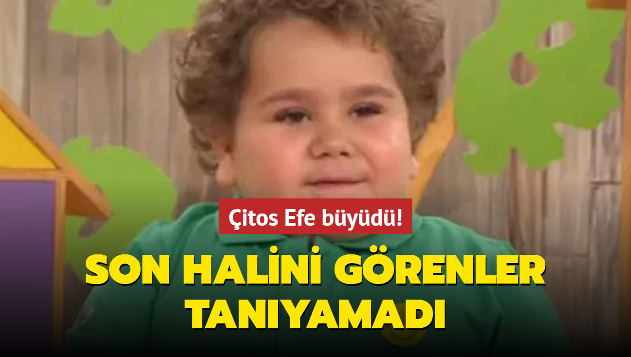 itos Efe lakapl Efe Koyiit byd! Son halini grenler tanyamad