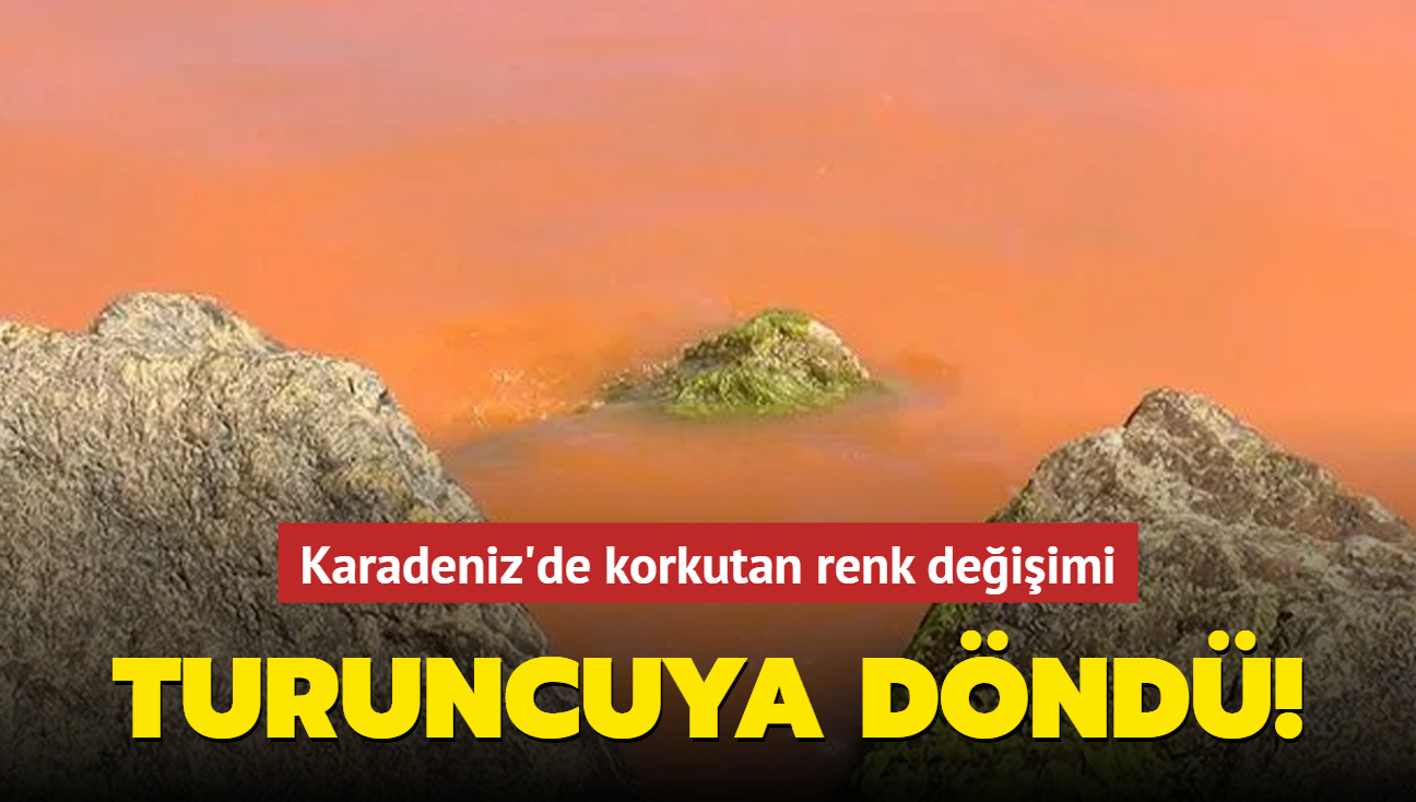 Karadeniz'de deniz rengi turuncuya dnd!