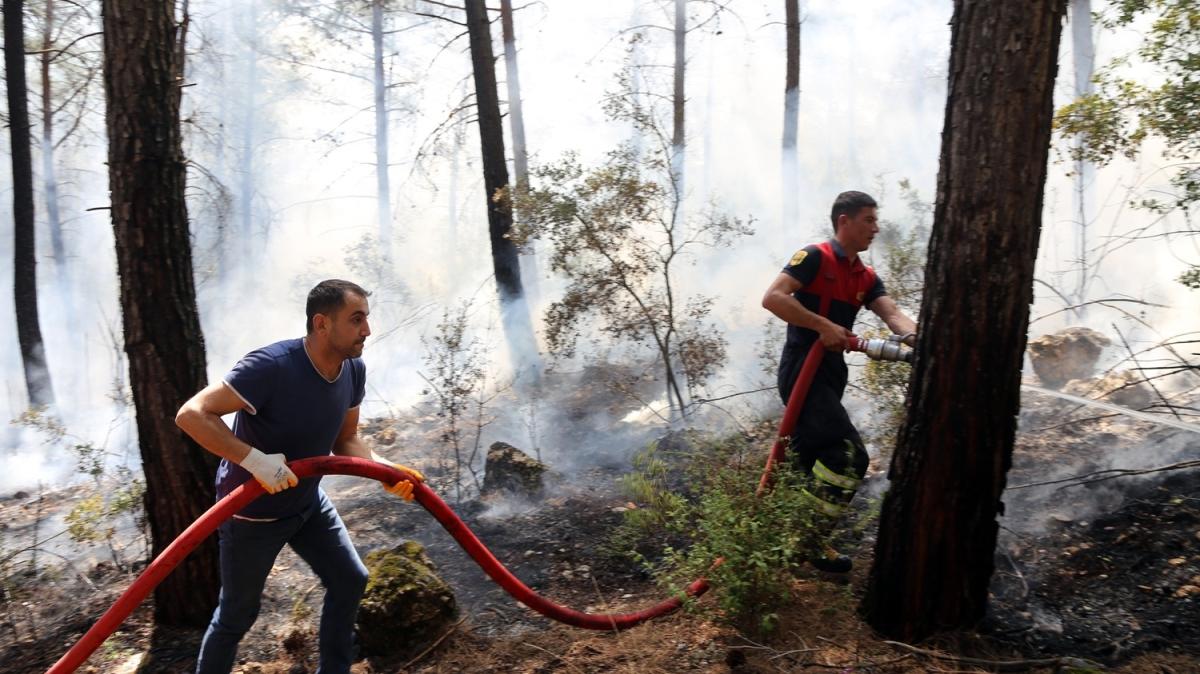 Muğla'da orman yangını: İtfaiye ekiplerince söndürüldü