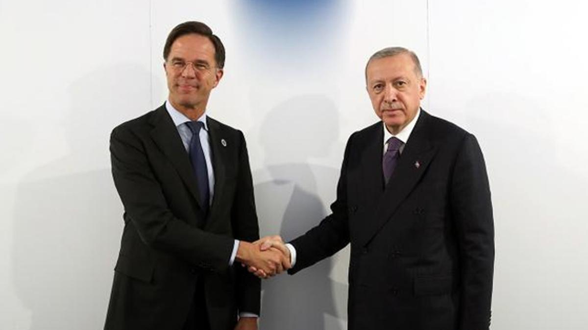 Bakan Erdoan, Hollanda Babakan Rutte ile grt