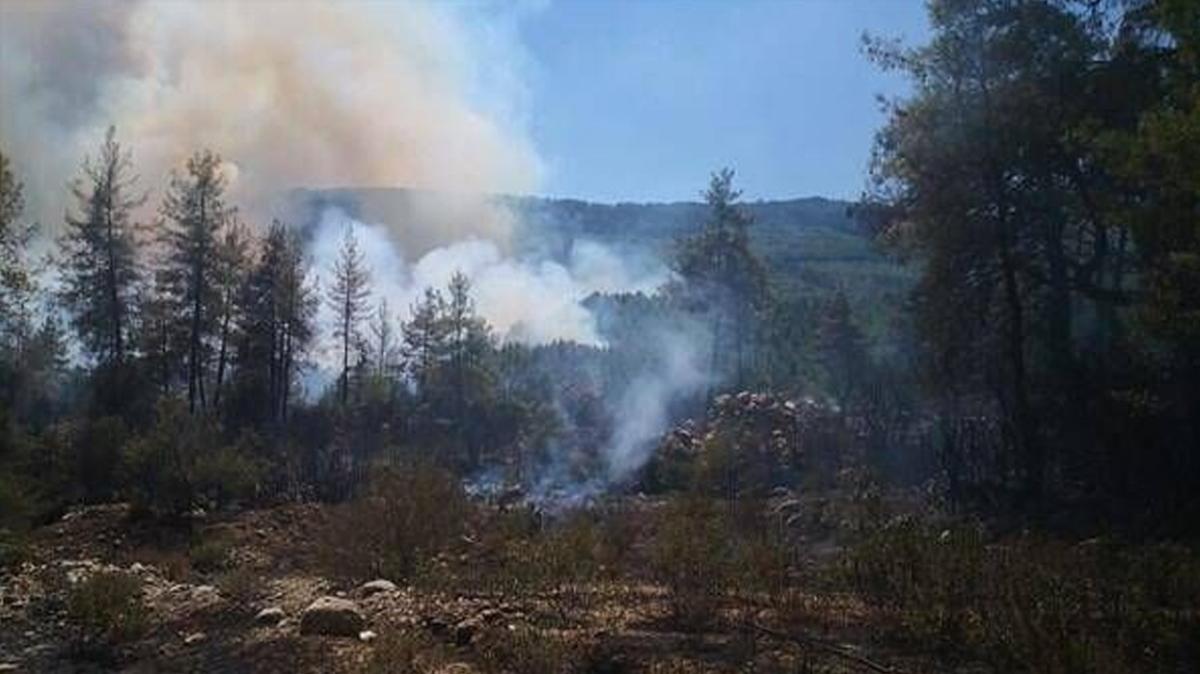 Antalya-Burdur sınırında orman yangını! Yangına müdahale sürüyor
