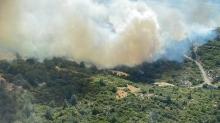 Son dakika haberi: İzmir'de orman yangını