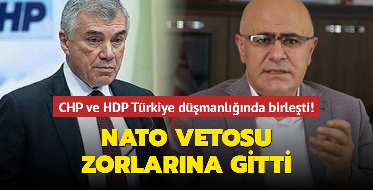 CHP ve HDP Trkiye dmanlnda birleti! NATO vetosu zorlarna gitti