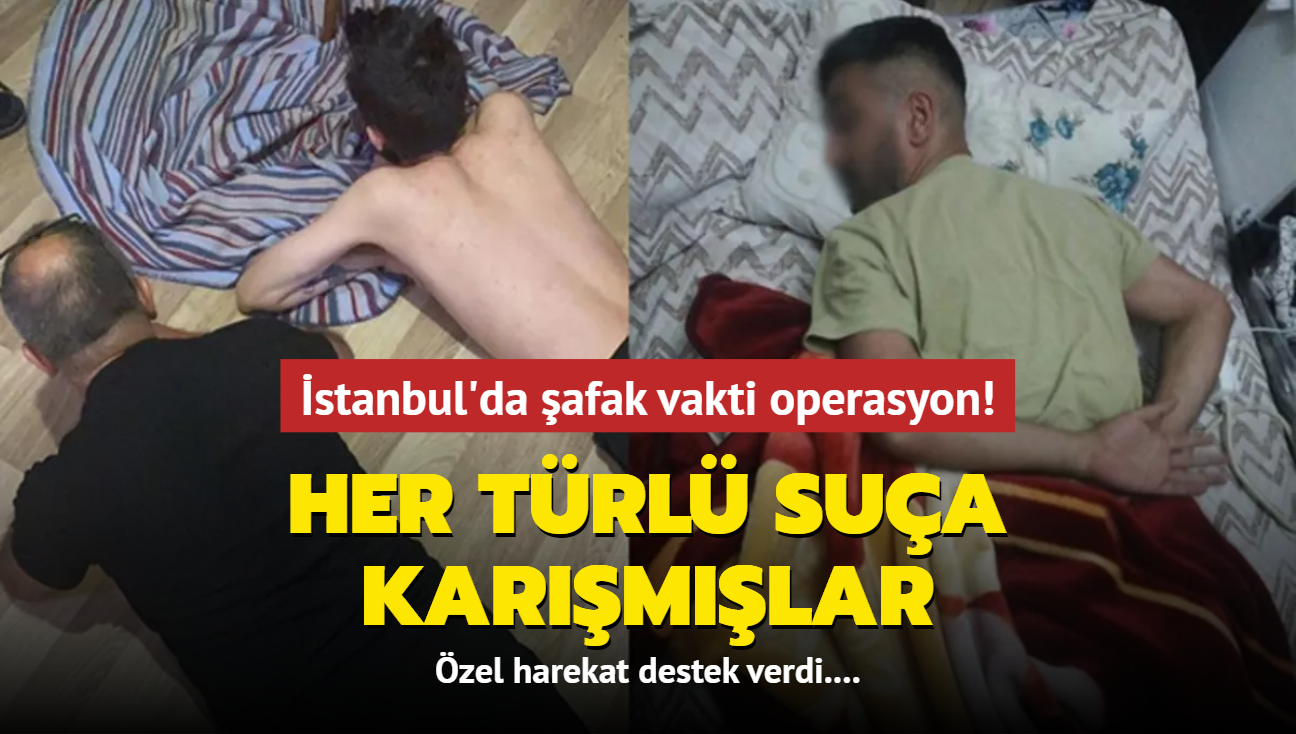 İstanbul Emniyeti'nden suç çetesine operasyon: 74 kişilik çeteye darbe