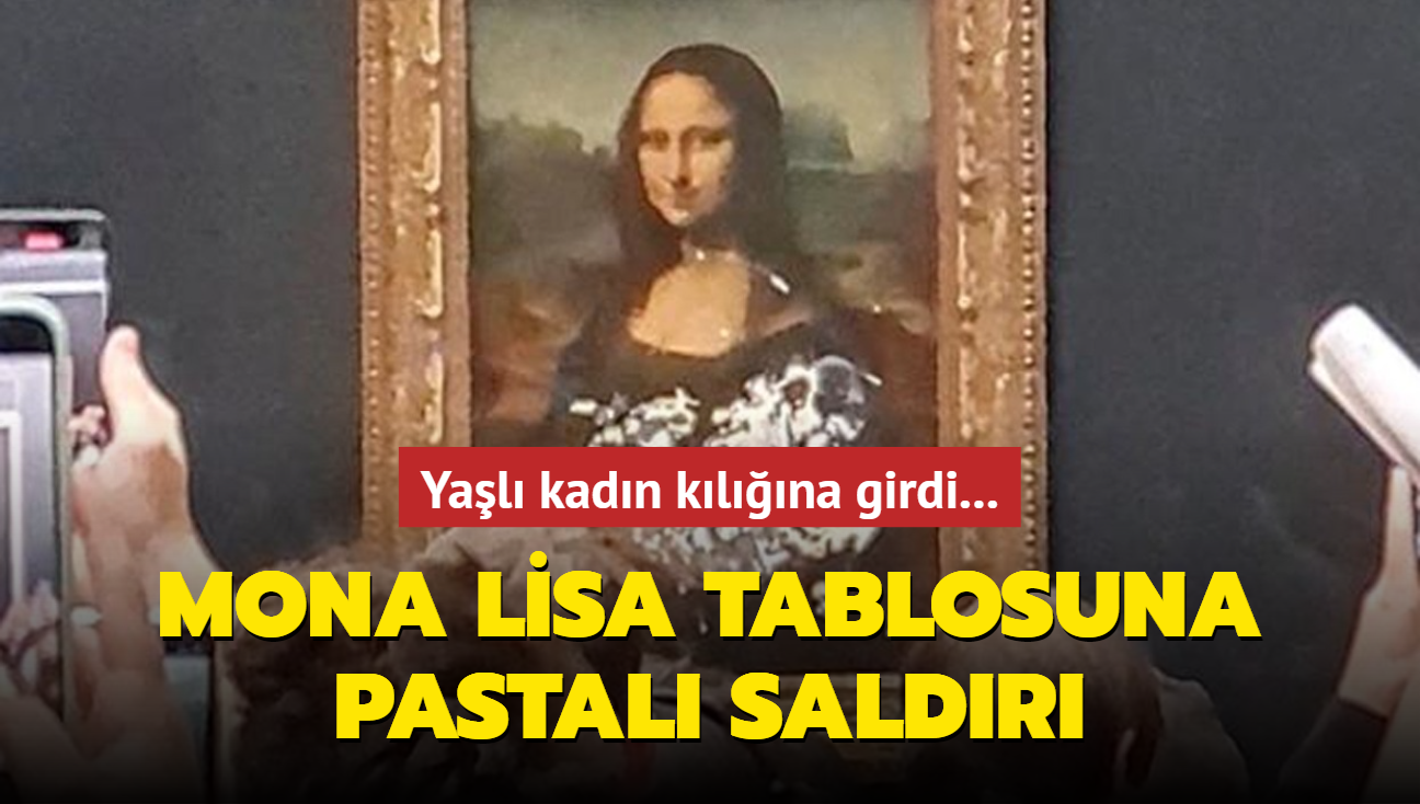 Yal kadn klna girdi... Mona Lisa tablosuna pastal saldr