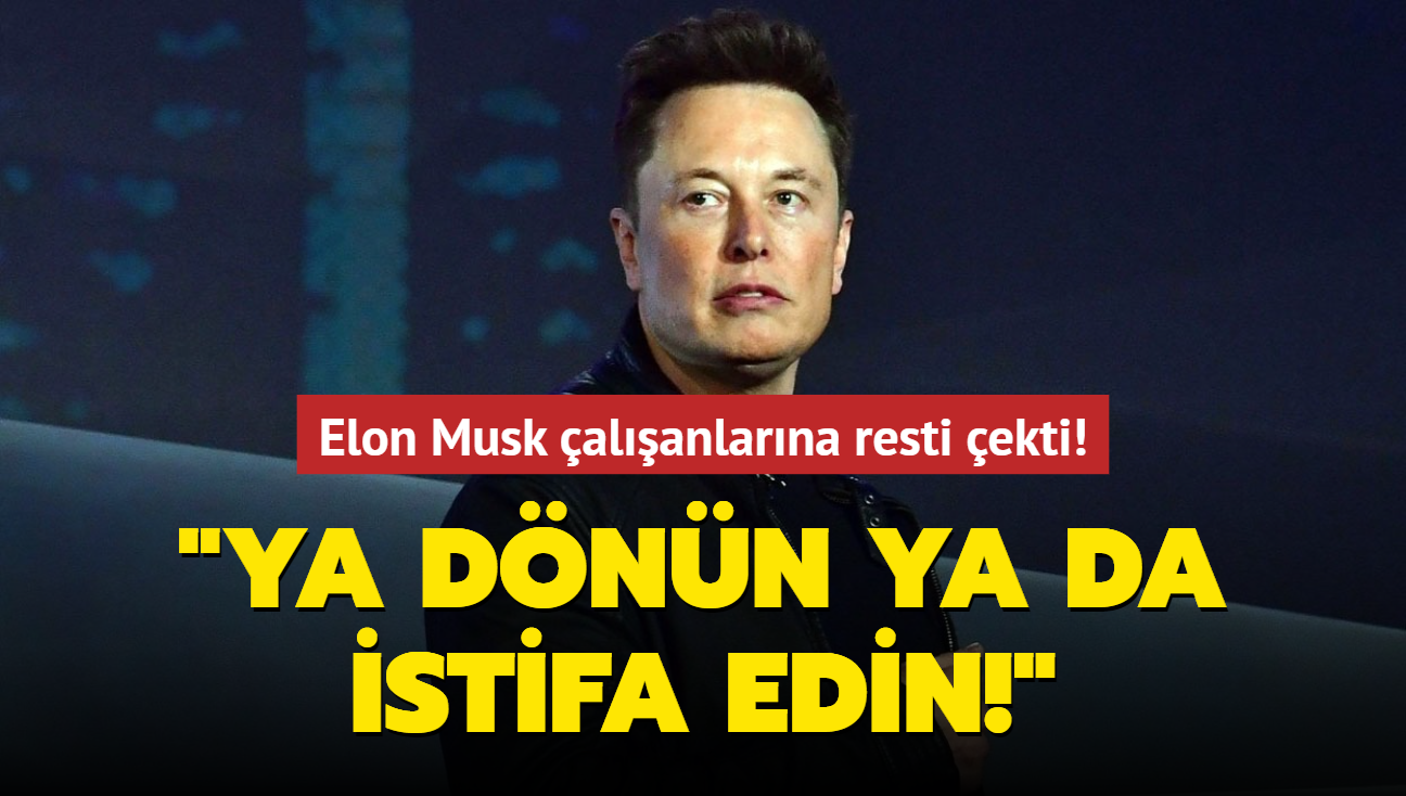 Elon Musk alanlarna resti ekti! 'Ya dnn ya da istifa edin!'