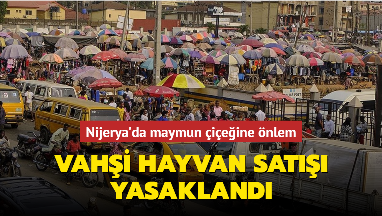 Nijerya'da maymun ieine nlem... Vahi hayvan sat yasakland