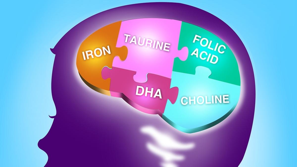 Beyin ve zeka geliiminde en etkili besin olarak duyuruldu! Uzmanlar 'Kolin'i ocuklara nerdi