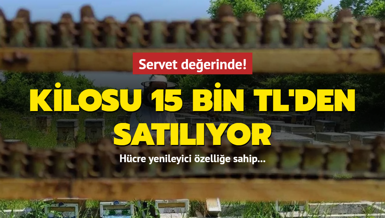 Vcuttaki l hcreleri canlandryor! Ar stnn kilosu 15 bin TL'den satlyor