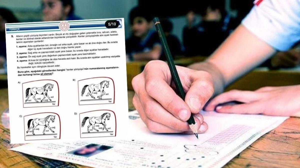 LGS at sorusu nedir" LGS at sorusu cevab ne olacak"