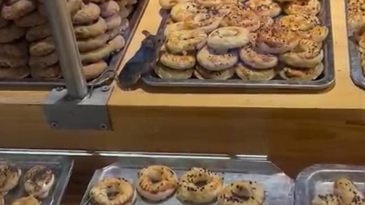 Ünlü bir zincir markette şaşkınlık yaratan olay: Farenin kurabiye yeme keyfi