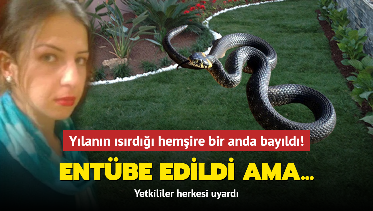 Ylann srd hemire bir anda bayld! Entbe edildi ama... Yetkililer herkesi uyard!