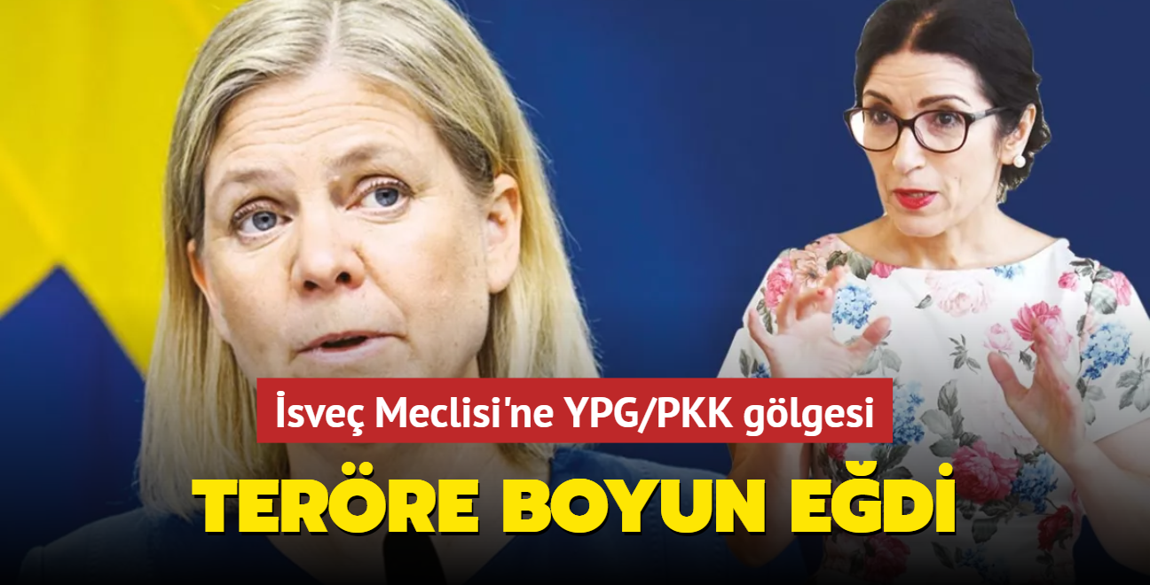 sve babakan sve milletvekili'ni ikna etsin diye lkesini YPG'nin ayana drd... Terre boyun edi