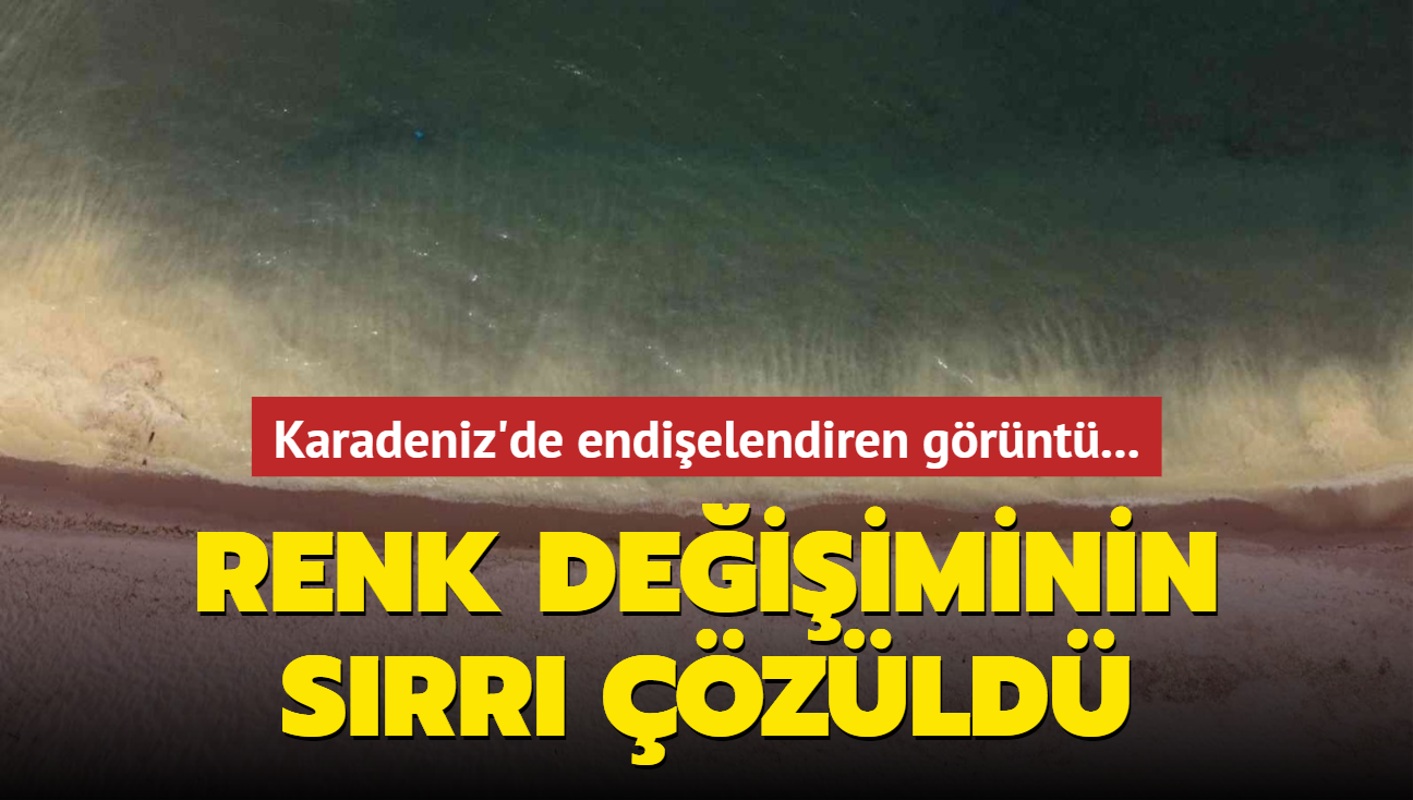 Karadeniz'de endielendiren grnt! Renk deiiminin srr zld