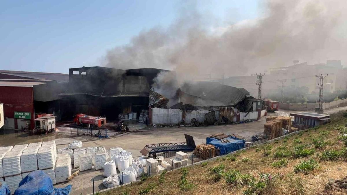 Hatay'da kan yangn kontrol altnda