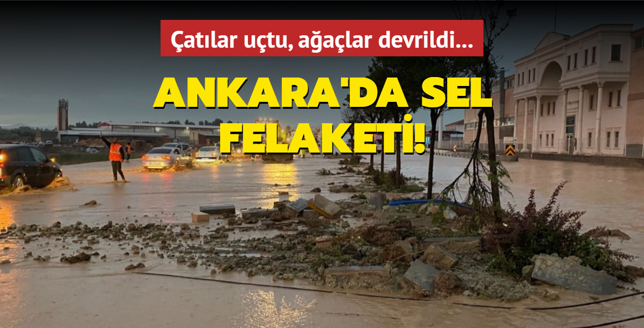 atlar utu, aalar devrildi... Ankara'da sel felaketi!