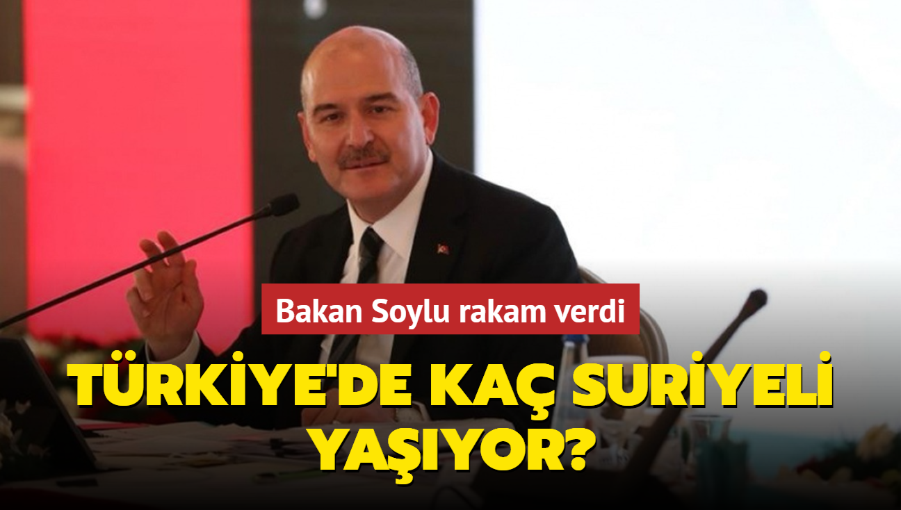 Bakan Soylu rakam verdi! Trkiye'de ka Suriyeli yayor"