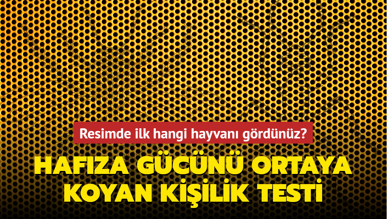 Hafza gcn ortaya koyan kiilik testi! Resimde ilk ar m karnca m grdn"