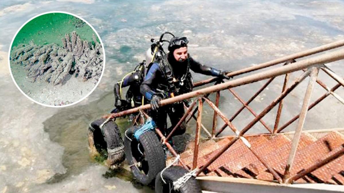 Marmara iin korkutan uyar! "Msilaj bitmedi, dipte yayor"