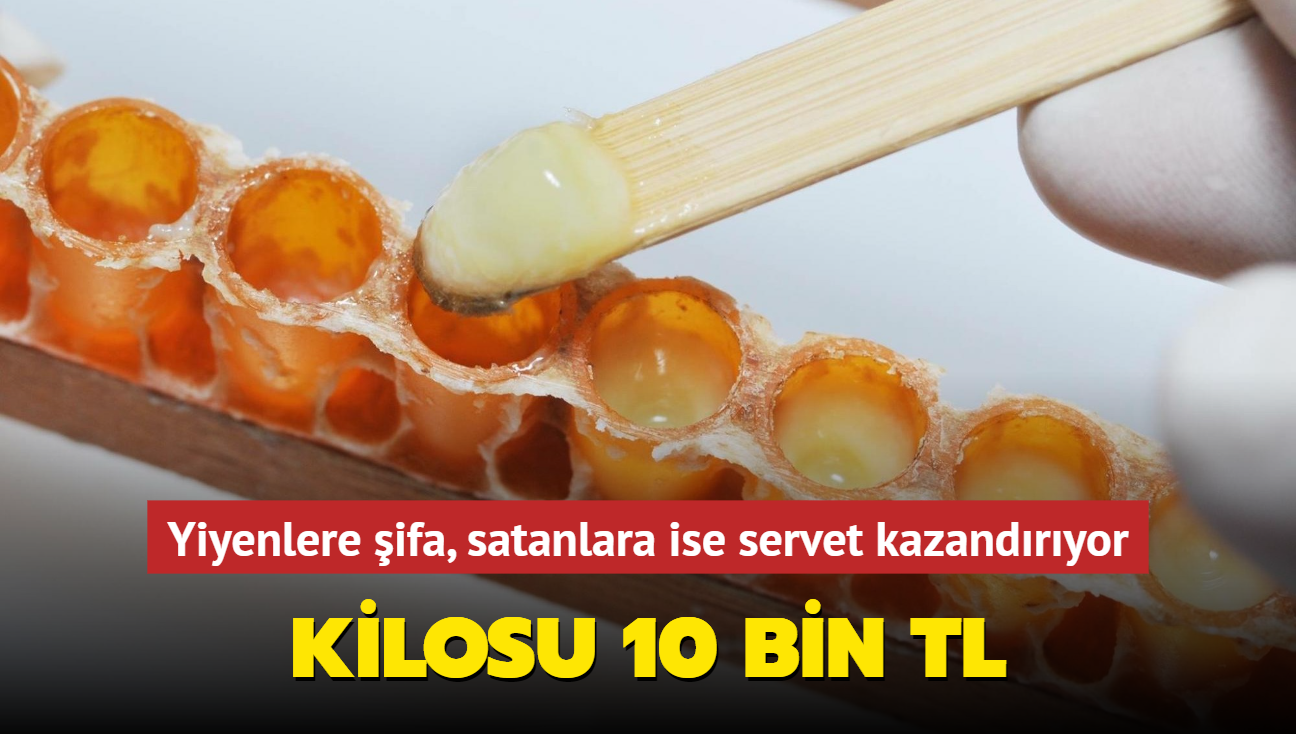 En ucuzunun kilosu 10 bin TL... Yiyenlere ifa, satanlara ise servet kazandryor! Sper yiyecek