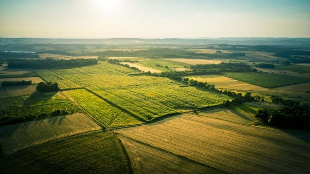 anakkale Ayvack'ta arsa icradan satlacak!