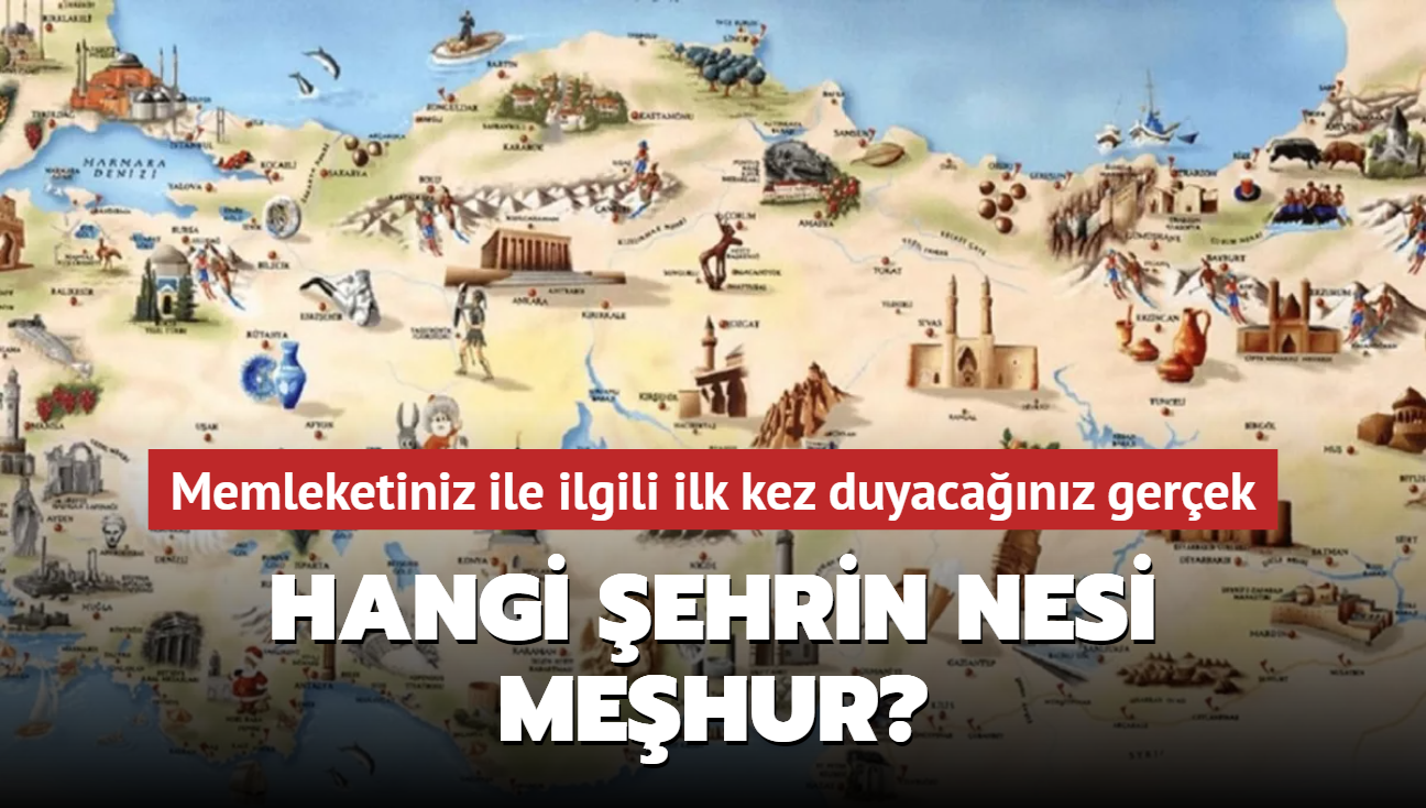 T�rkiye'de her bir ilin kendisiyle �zde�le�mi� 81 unsur