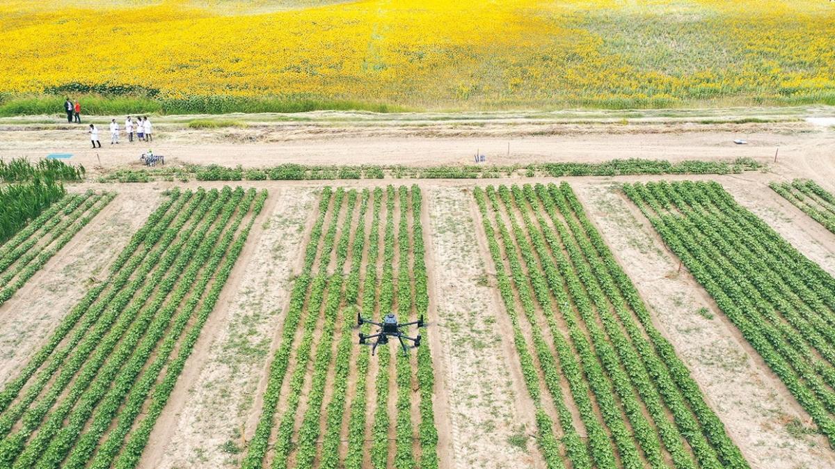 Tarmda yanl sulamaya kar dron destekli proje