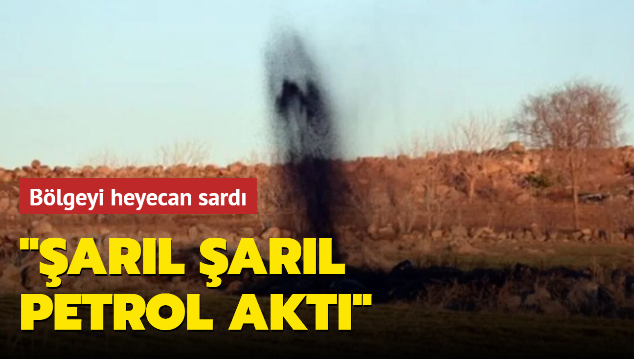 Blgeyi heyecan sard: arl arl petrol akt