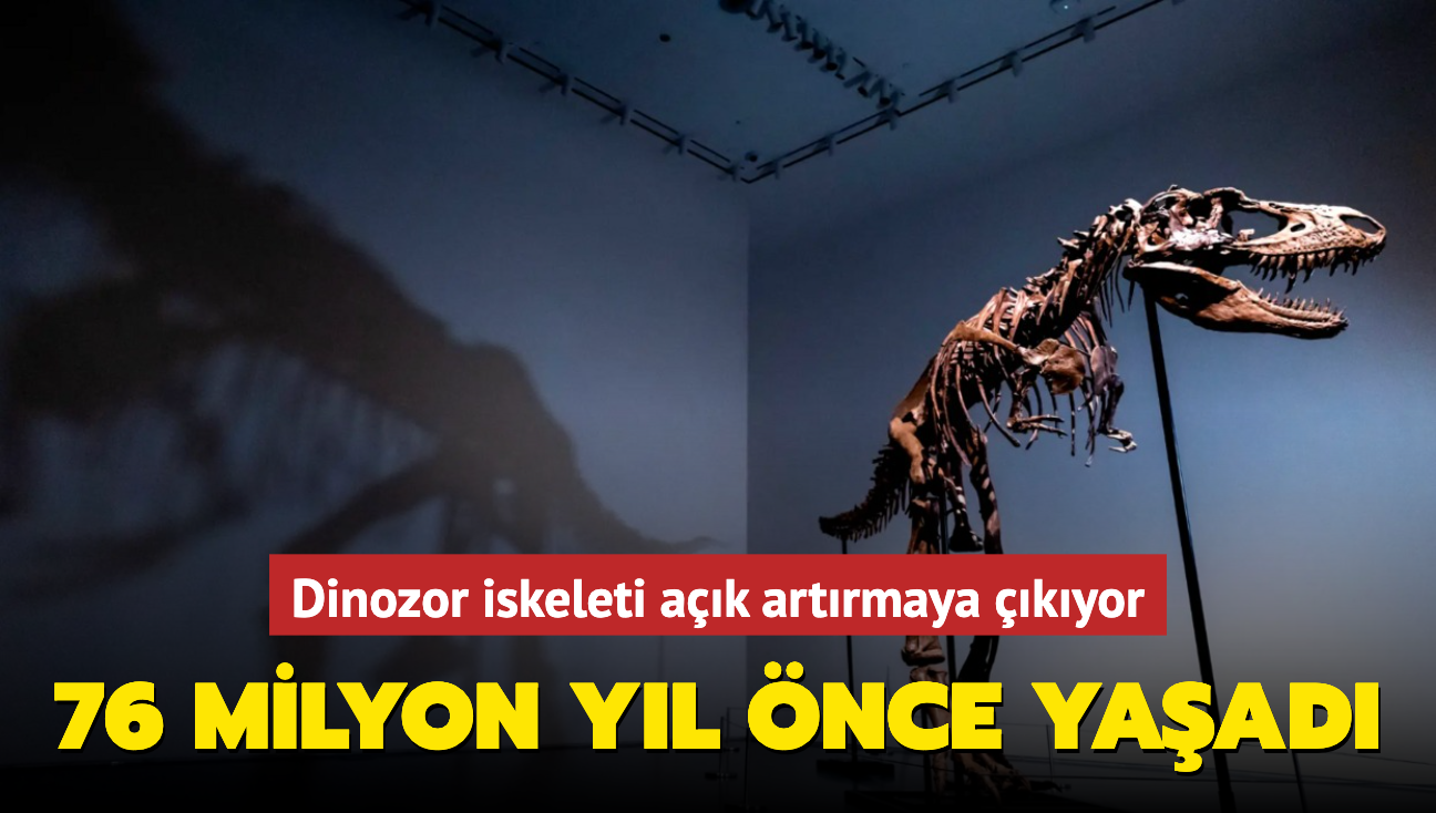 Dinozor iskeleti ak artrmaya kyor! 76 milyon yl nce yaad...