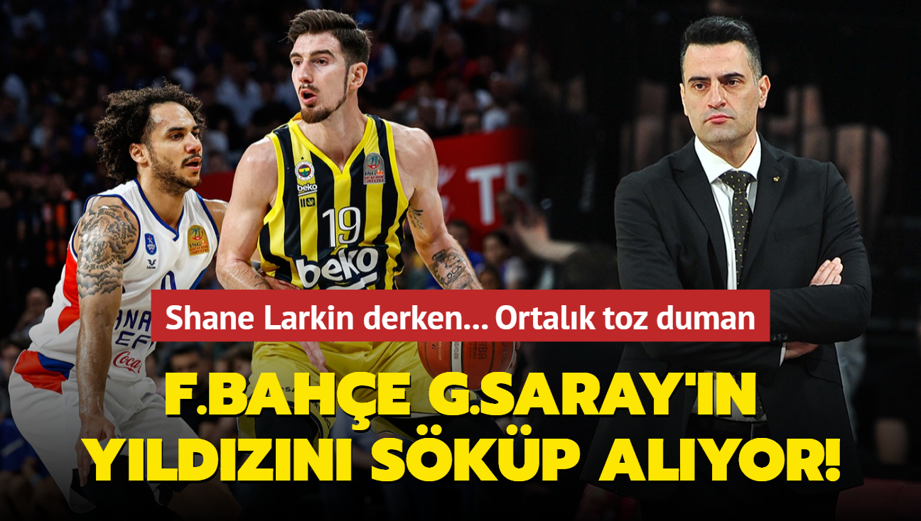 Shane Larkin derken... Fenerbahçe Beko, Galatasaray Nef'in yıldızını söküp alıyor! Ortalık toz duman