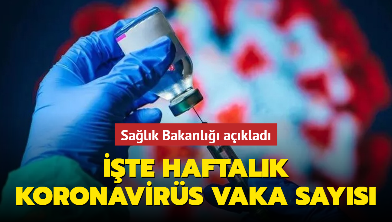 Haftalk koronavirs vaka says akland