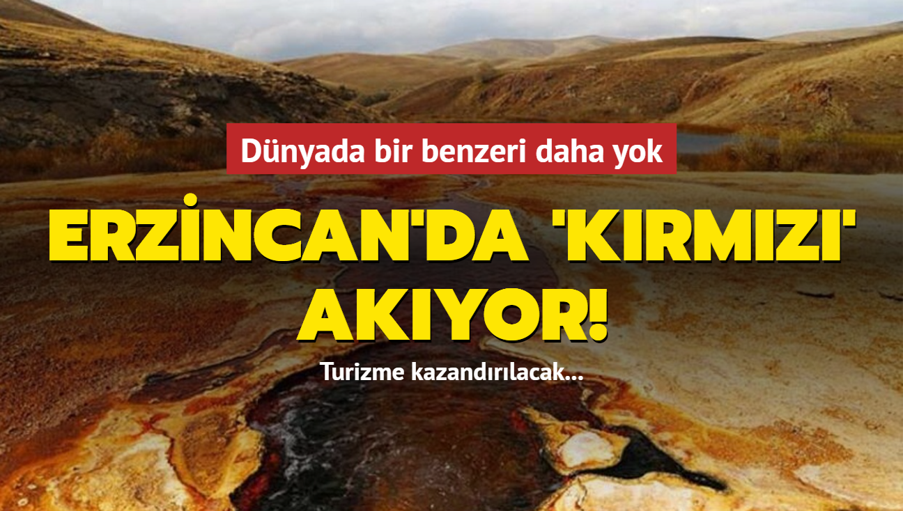 Dnyada bir benzeri daha yok! Erzincan'n 'krmz gl' turizme kazandrlacak