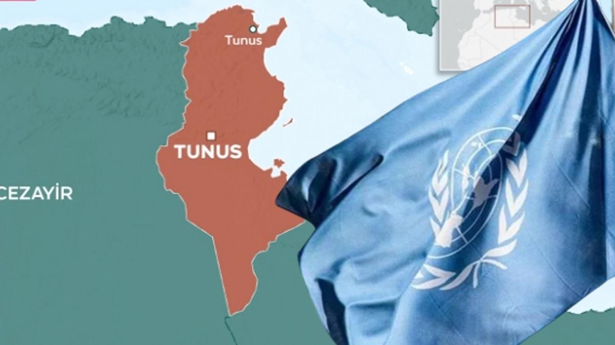 BM: Anayasa deiikliinde Tunus'u desteklemeye hazrz