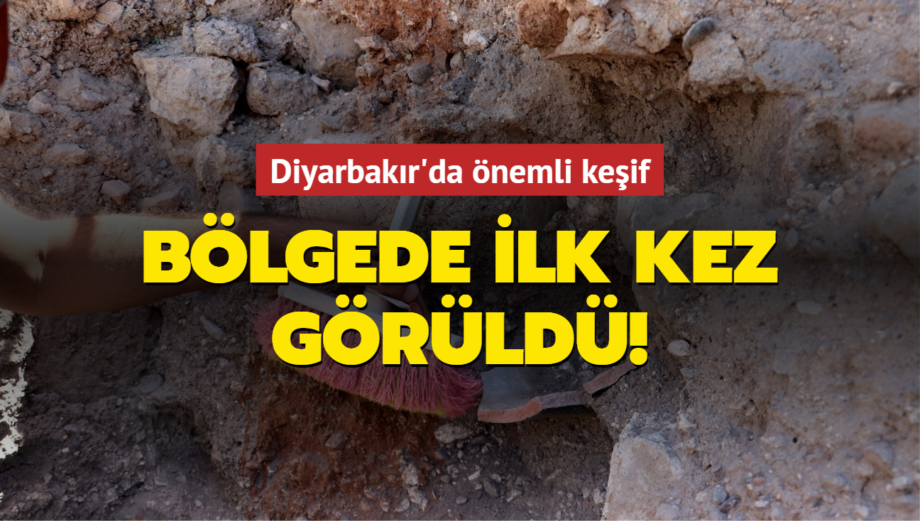 Blgede ilk kez grld! Diyarbakr'da nemli keif