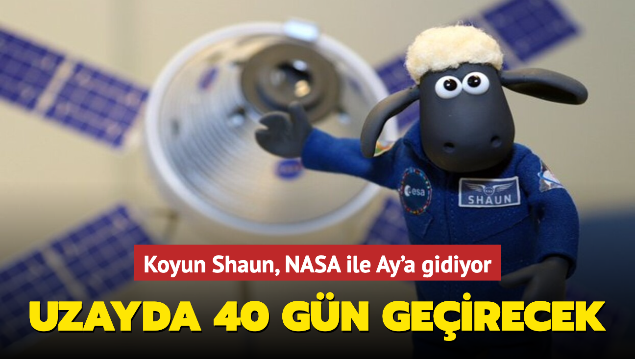 Koyun Shaun, NASA ile Ay'a gidiyor! Grevin ilk astronotu olacak...