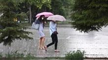 AFAD ve Meteoroloji'den son dakika uyarısı! Sağanak yağmur yolda: 7 kent için sarı alarm verildi