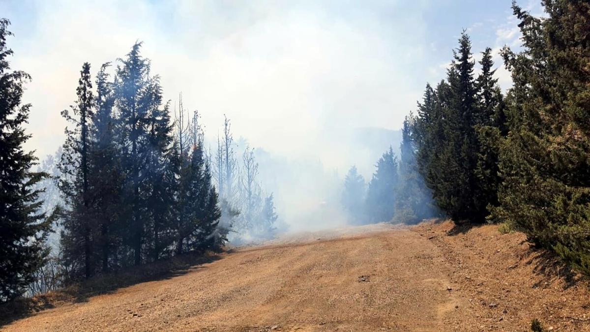 ngiltere'de orman yangn sonras "eytan hortumu" kt