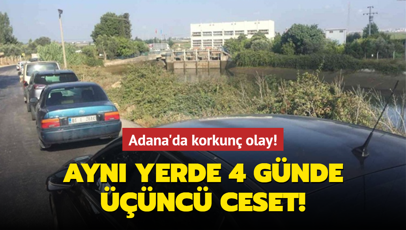 Adana'da korkun olay! Ayn yerde 4 gnde nc ceset bulundu