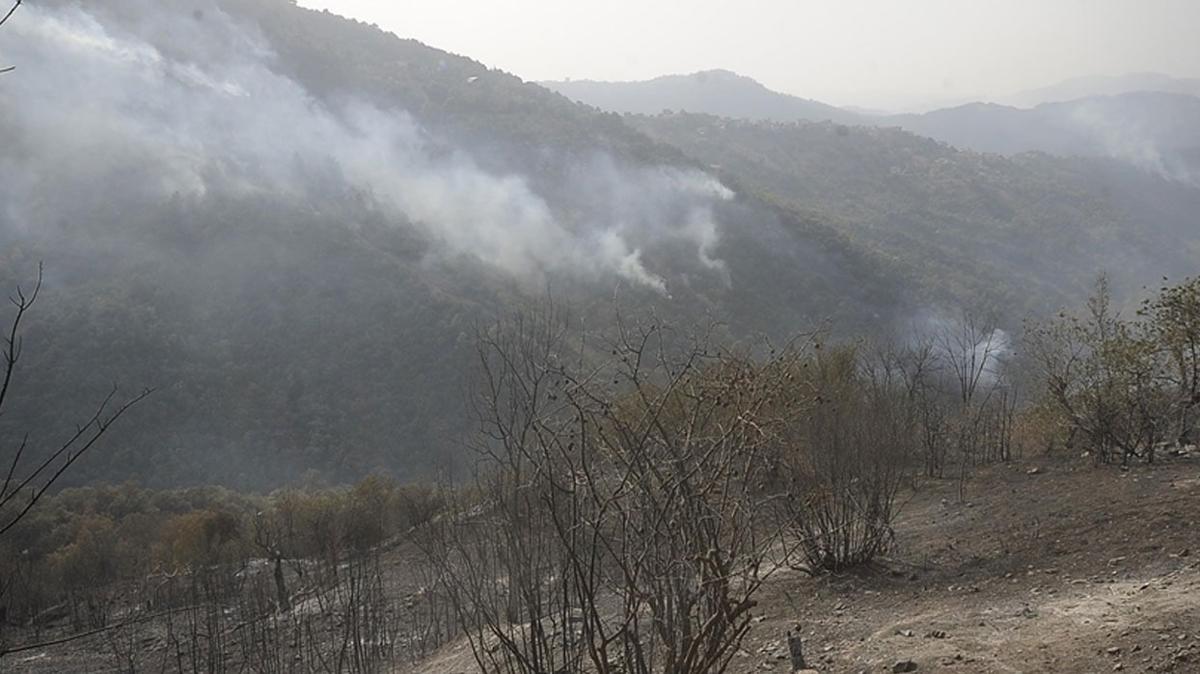 Cezayir'deki orman yangnlarnda l says 41'e ykseldi