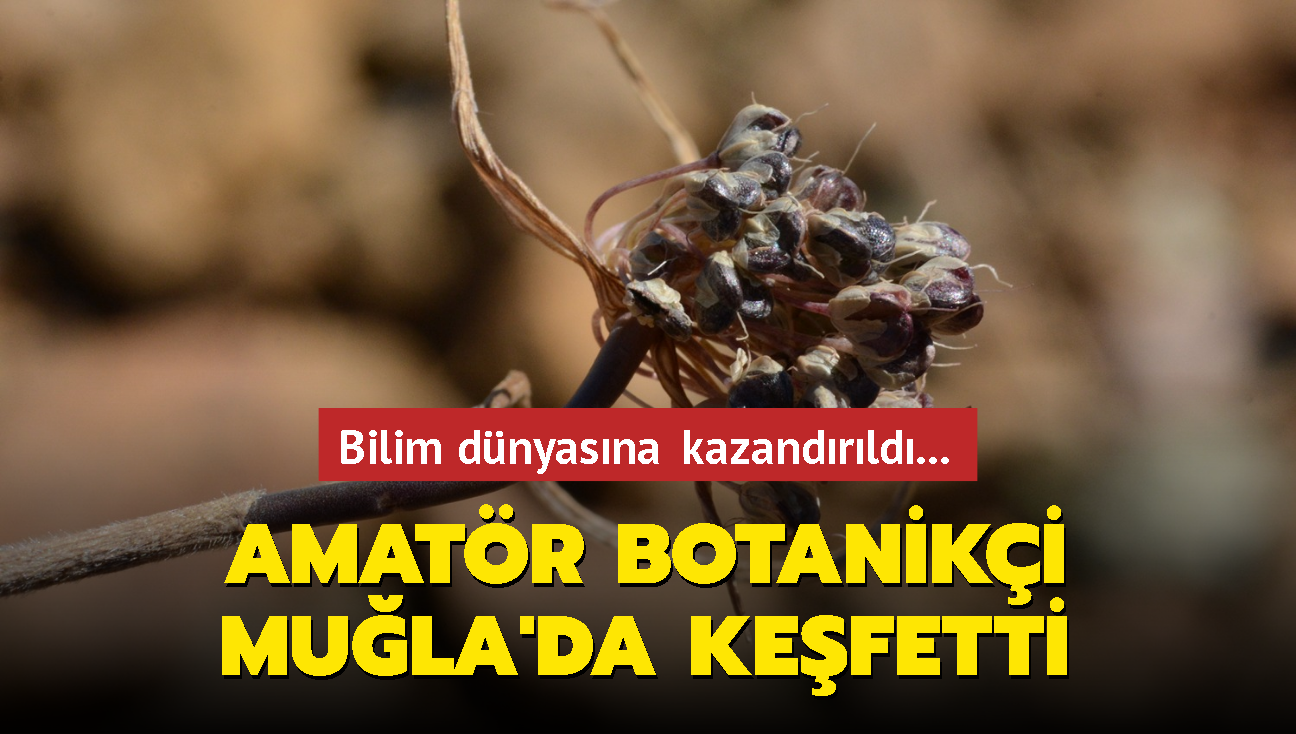 Amatr botaniki Mula'da kefetti... Bilim dnyasna kazandrld