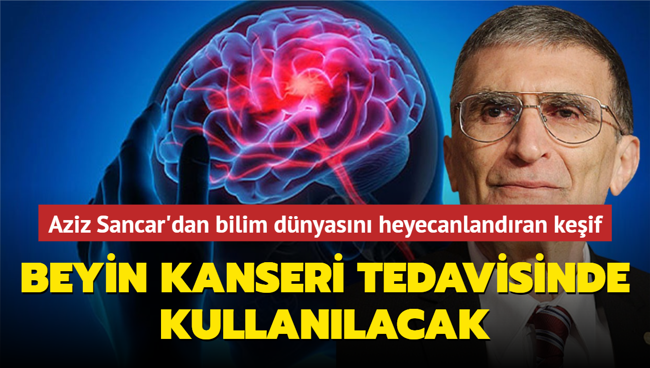 Aziz Sancar'dan bilim dnyasn heyecanlandran keif... Beyin kanseri tedavisinde kullanlacak