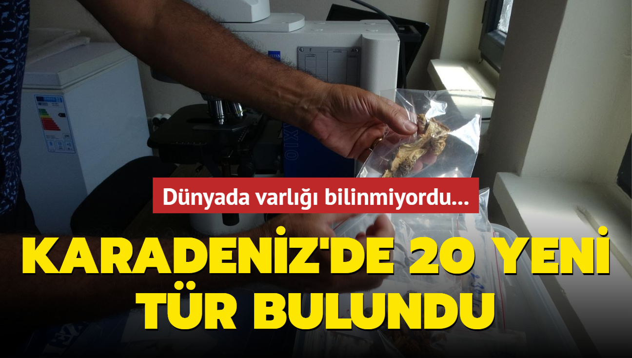 Dnyada varl bilinmiyordu... Karadeniz'de 20 yeni tr bulundu