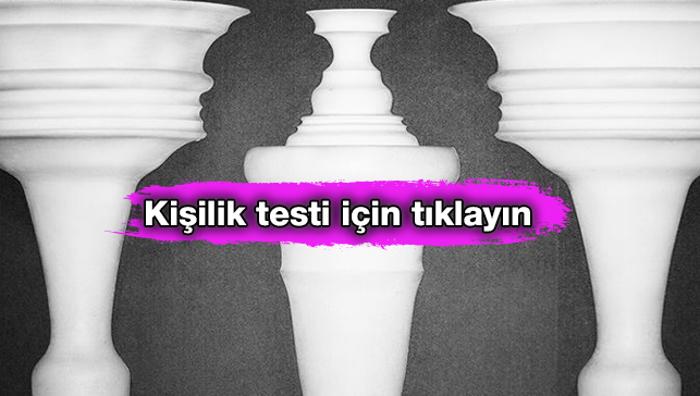 Kıvrak Zekayı Ortaya çıkaran Kişilik Testi Resimde Ilk Gördüğünüz Bilinçaltınızı Yansıtıyor 