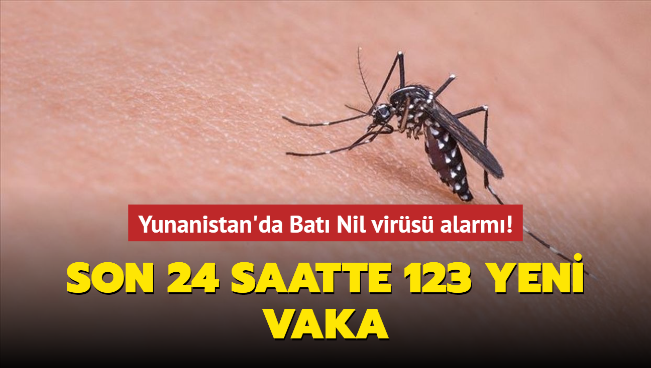 Yunanistan'da Bat Nil virs alarm! Son 24 saatte 123 yeni vaka