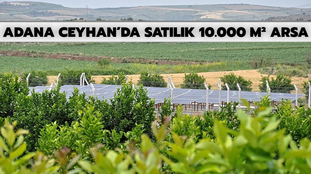 Adana Ceyhan'da 10.000 m arsa icradan sata karld!