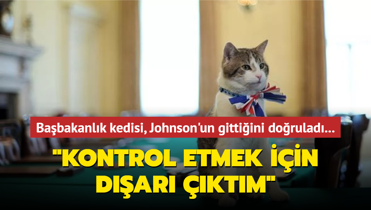 Babakanlk kedisi, Johnson'un gittiini dorulad: "Kontrol etmek iin dar ktm, gitmi"