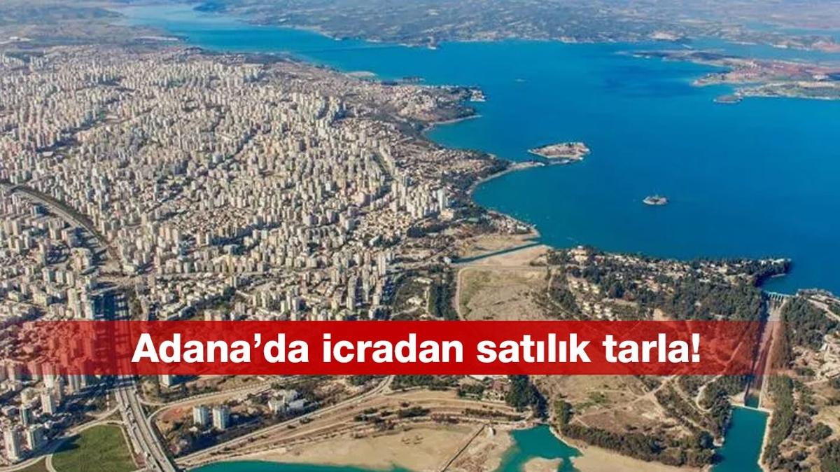 Adana Yreir'de tarla sata karld!