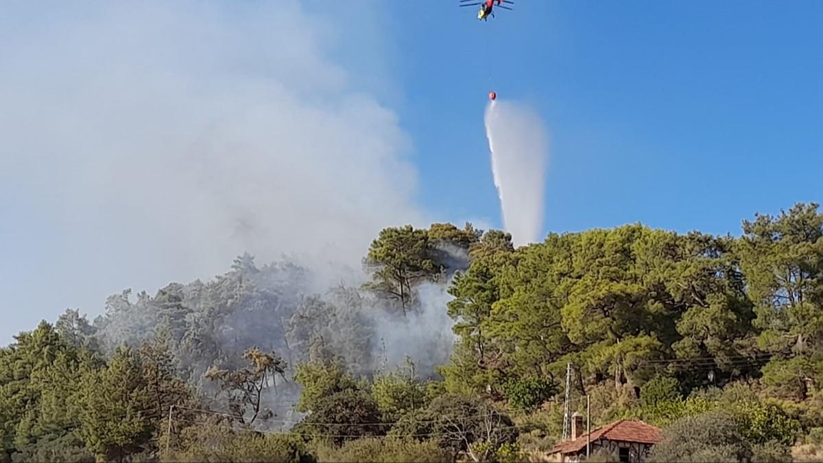 Antalya'da kan orman yangn kontrol altnda